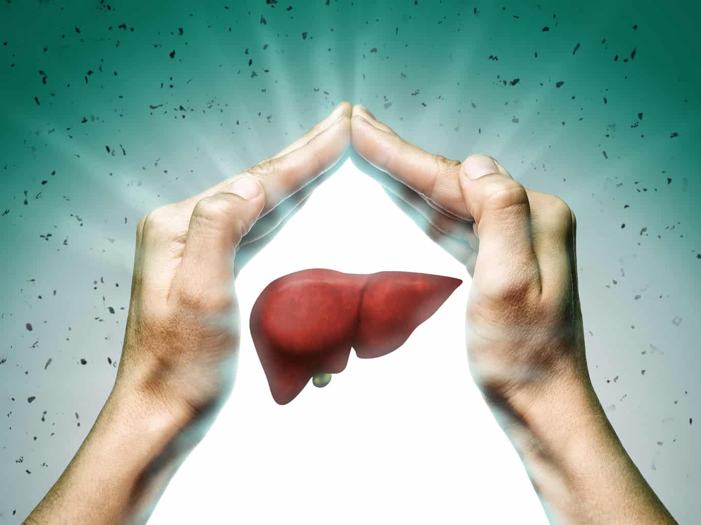 Easy Liver Fix (Eliminates Toxin That Causes Fat Buildup) Easy Liver Fix (Eliminates Toxin That Causes Fat Buildup)