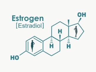 Estrogen synthesis and signaling pathways during ageing: from periphery to brain