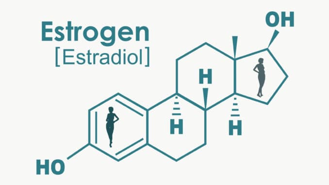 Estrogen synthesis and signaling pathways during ageing: from periphery to brain