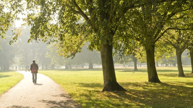 Man walking in the park