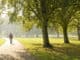 Man walking in the park