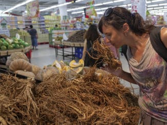 girl in the store chooses ginseng root.