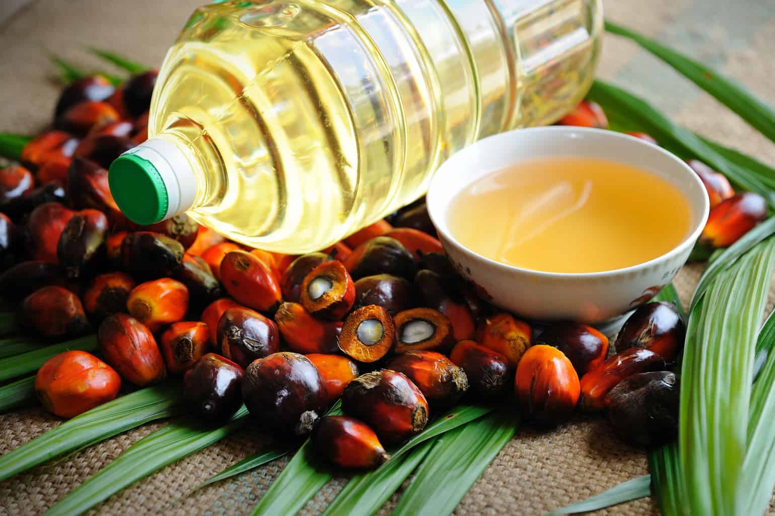 This oil protects your heart from bad fat.