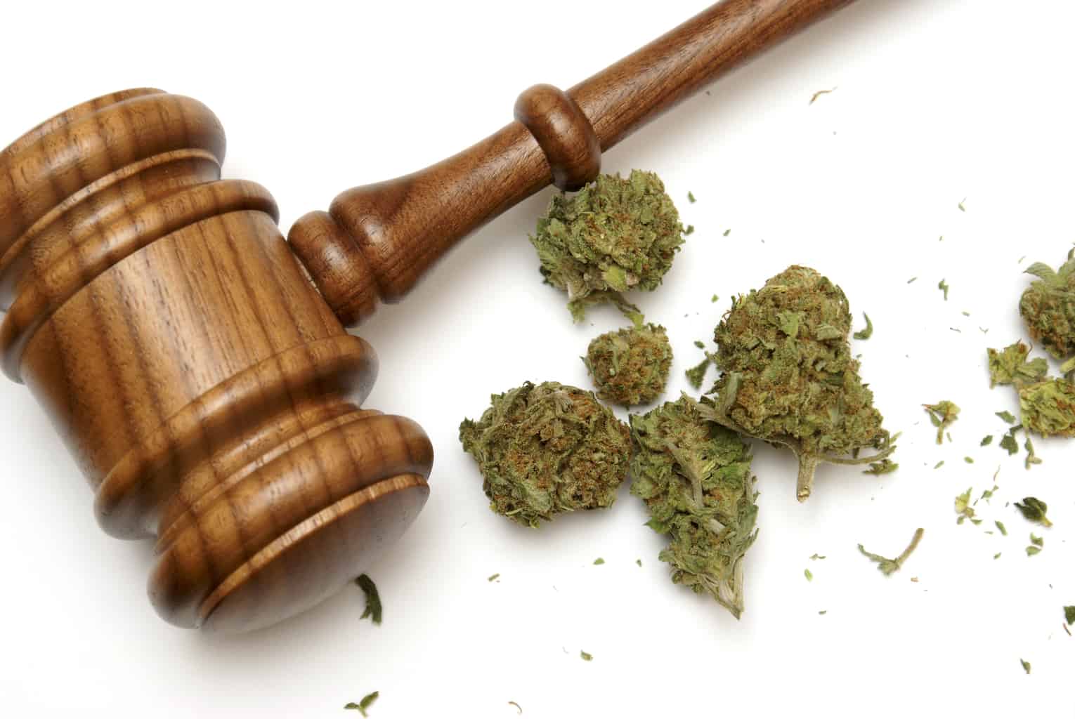 Will This Discovery Make Trump Legalize Marijuana? Will This Discovery Make Trump Legalize Marijuana?