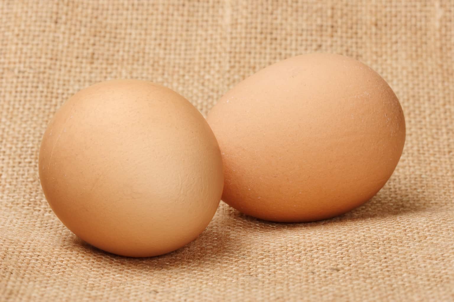What happens when you eat 2 eggs a day?