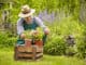 Man planting herbs in a garden