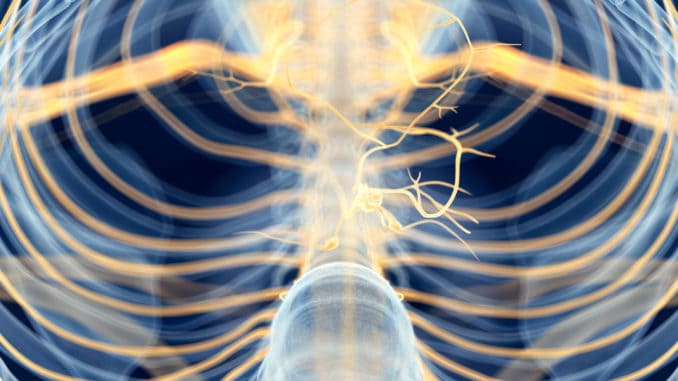 Vagus Nerve Stimulators -- Should You Try One? Vagus Nerve Stimulators -- Should You Try One?