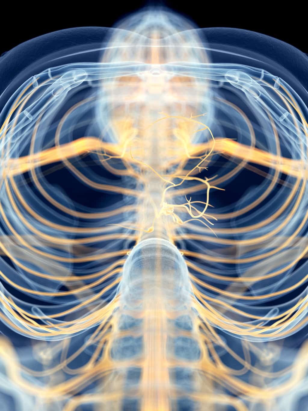 Vagus Nerve Stimulators – Should You Try One? | Daily Medical