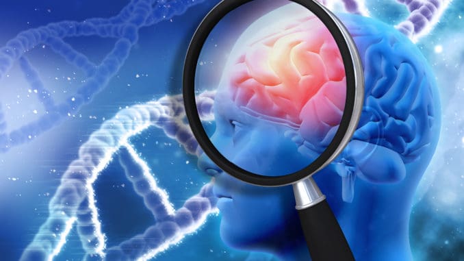 This Myokine in the Brain Saves Men from Alzheimer’s Disease