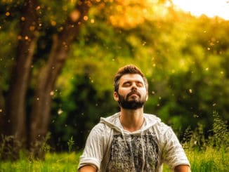 A bearded man is meditating on green grass in the park with face raised up to sky and eyes closed on sunny summer day.