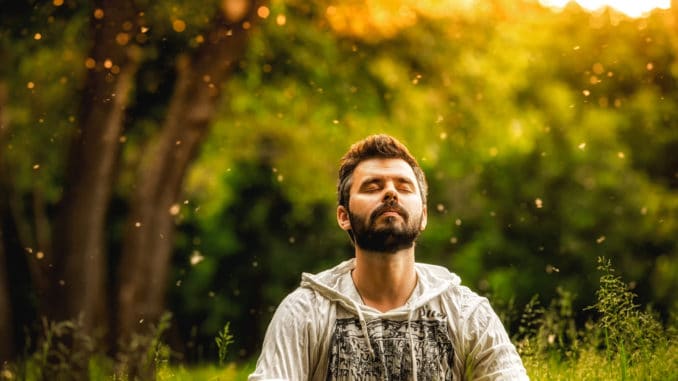 A bearded man is meditating on green grass in the park with face raised up to sky and eyes closed on sunny summer day.