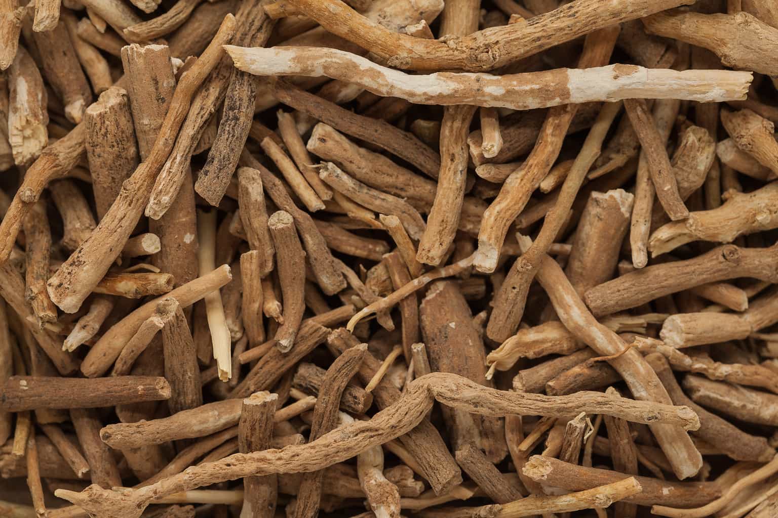 Ashwagandha raises testosterone and downregulates estrogen receptor