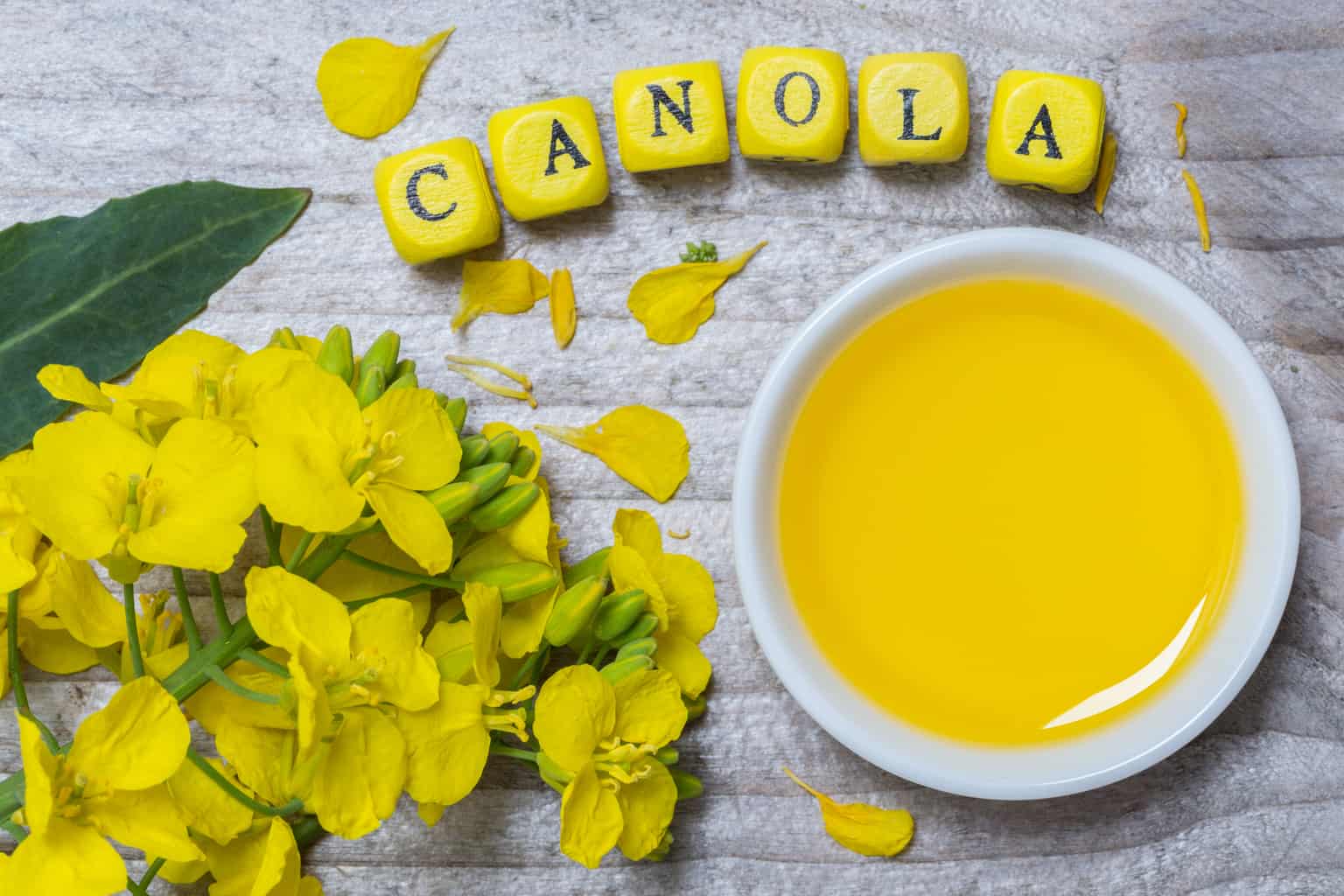 Canola oil