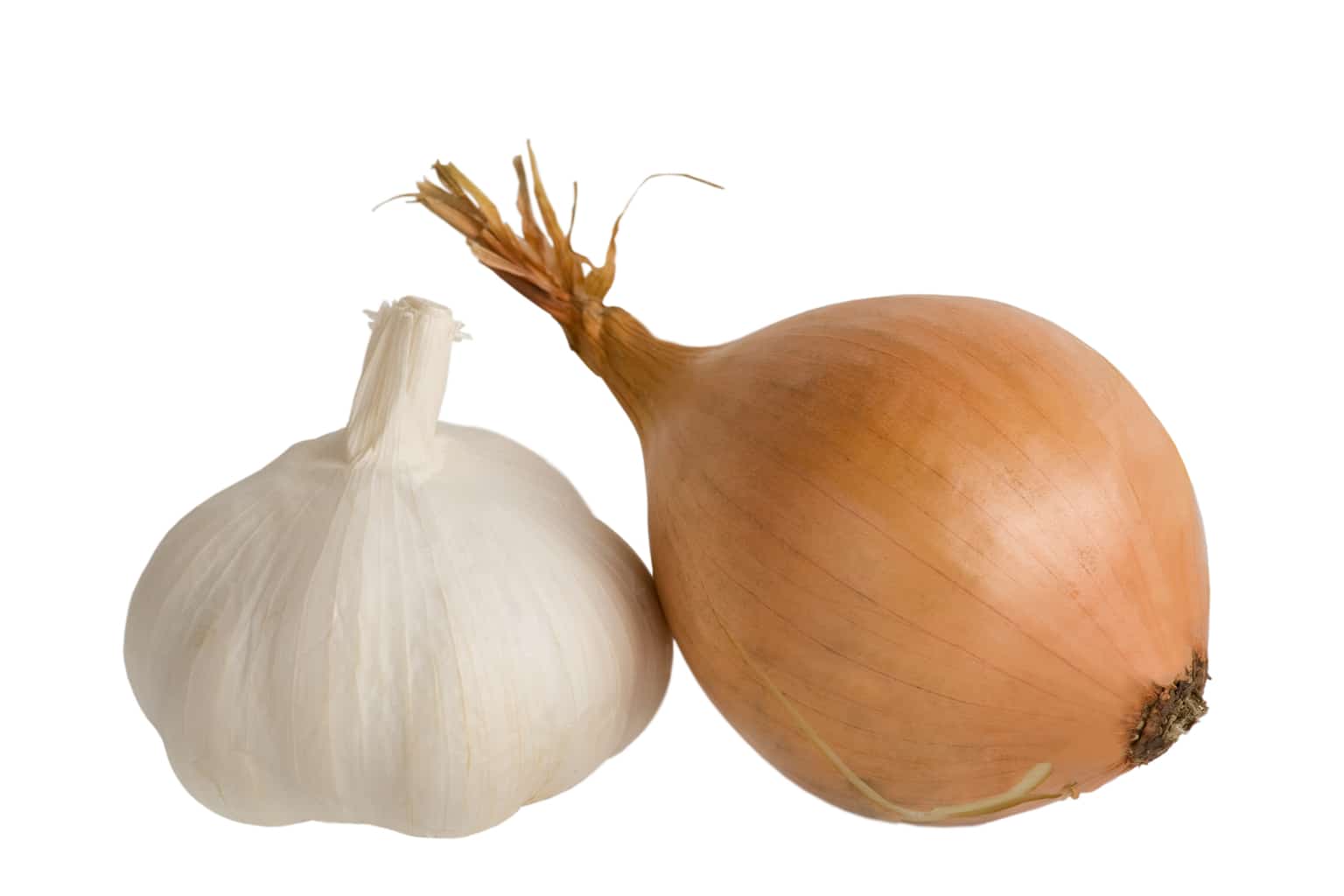 Garlic and onions protect you when you cook with oil