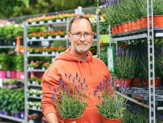 Middle age man gardener buying plants in garden center