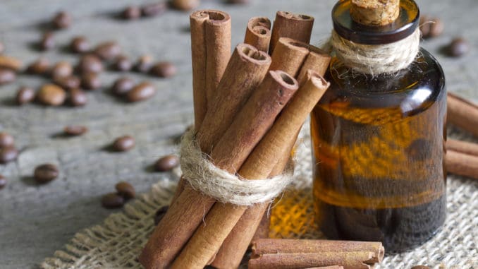 Cinnamon sticks and bottle with oil closeup