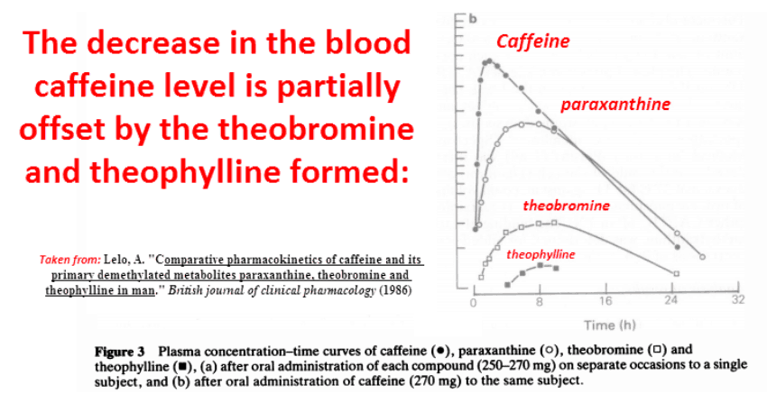 The decrease in the blood caffeine level is partially offset by the theobromine and theophylline formed