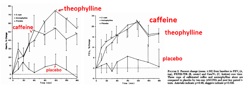 The results indicate that caffeine actually works to improve these three parameters – and even approaches the efficacy of theophylline in every respect: