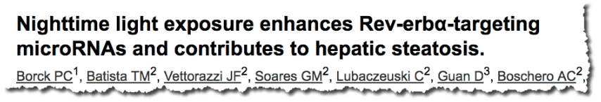 Nighttime light exposure enhances Rev-erbα-targeting microRNAs and contributes to hepatic steatosis