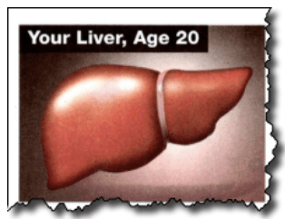 Your liver, Age 20