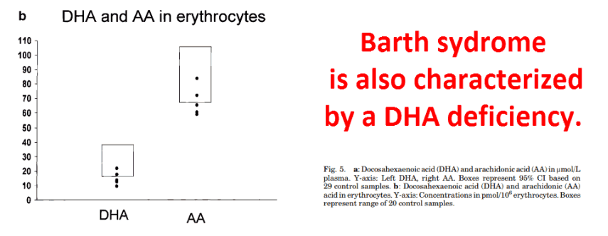 Barth syndrome is also characterized by a DHA deficiency.