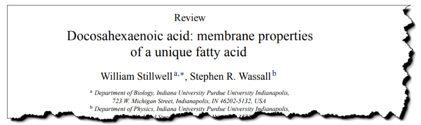 Docosahexaenoic acid: membrane properties of a unique fatty acid.