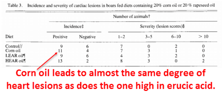 Corn oil leads to almost the same degree of heart lesions as does the one high in erucic acid.