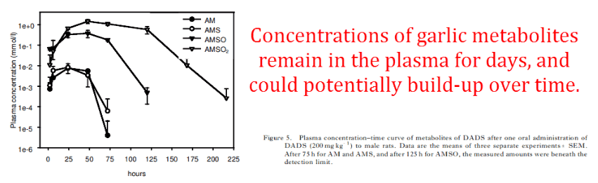 Concentrations of garlic metabolites remain in the plasma for days, and could potentially build-up over time.