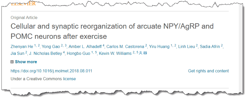 Cellular and synaptic reorganization of arcuate NPY/AgRP and POMC neurons after exercise