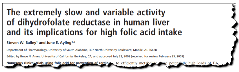 The extremely slow and variable activity of dihydrofolate reductase in human liver and its implications for high folic acid intake.