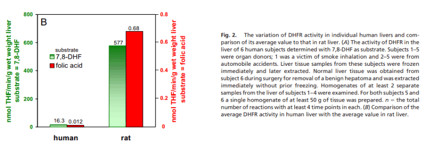 humans have relatively low activity of dihydrofolate reductase: