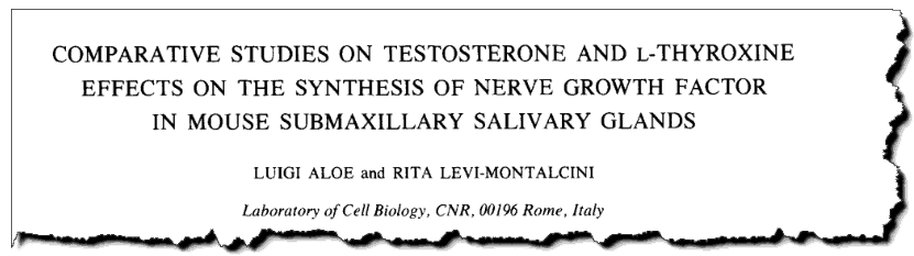 Comparative studies on testosterone and L-thyroxine effects on the synthesis of nerve growth factor in mouse submaxillary salivary glands.