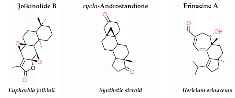 Certainly, erinacine A is more similar to androgens than to thyroid hormone, the other classic inducer of NGF.