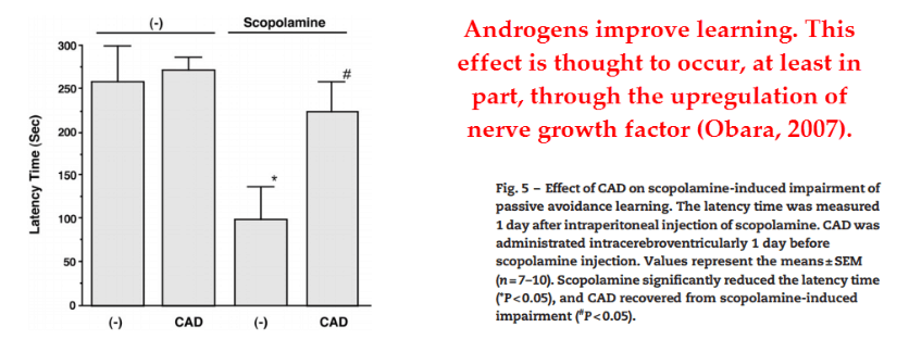 And the control group – given cyclo‑androstenedione but not scopolamine – also showed improvement.