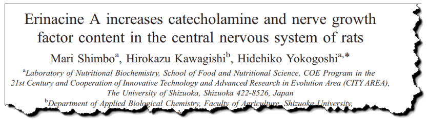 Erinacine A increases catecholamine and nerve growth factor content in the central nervous system of rats