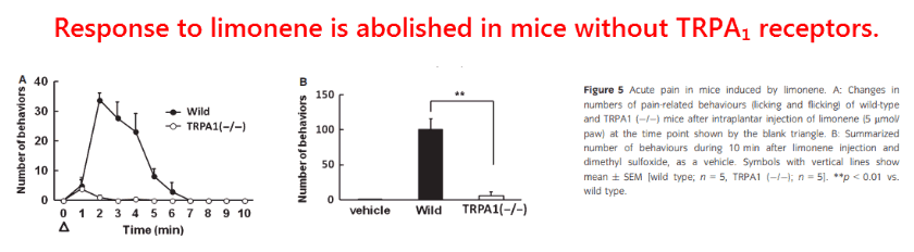 response to limonene is abolished in mice without TRPA1 receptors