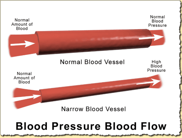 Blood Pressure Blood Flow