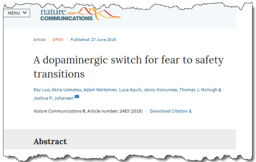 A dopaminergic switch for fear to safety transitions