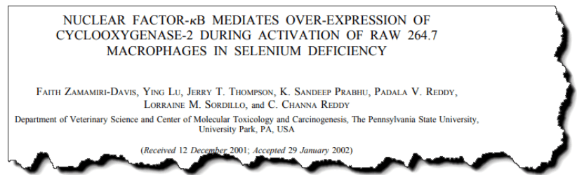 Nuclear factor-κB mediates over-expression of cyclooxygenase-2 during activation of RAW 264.7 macrophages in selenium deficiency.