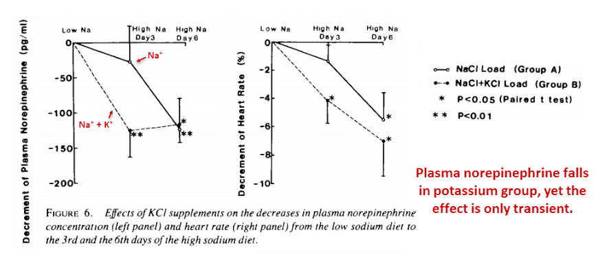 Plasma norepinephrine falls in potassium group, yet the effects is only transient.