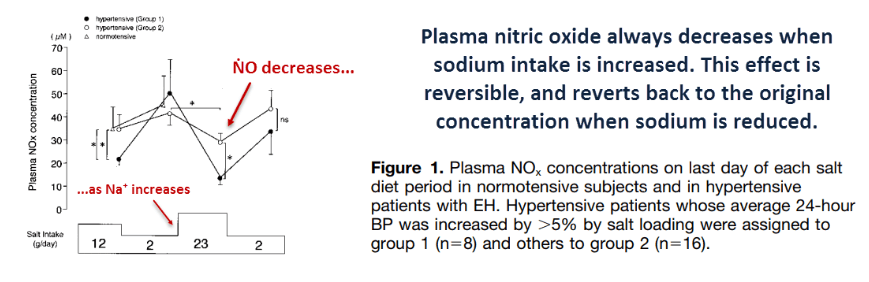 Plasma nitric oxide always decreases when sodium intake is increased.. This effect is reversible, and reverts back to the original concentration when sodium is reduced.