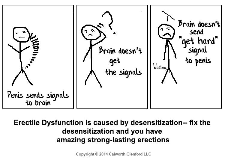 Erectile dysfunction is caused by desensitazation