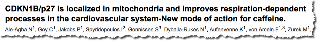 CDKN1B/p27 is localized in mitochondria and improves respiration-dependent processes in the cardiovascular system-New mode of action for caffeine. 