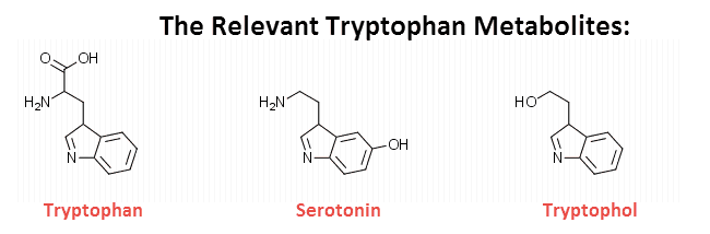 The Relevant Tryptophan Metabolites 