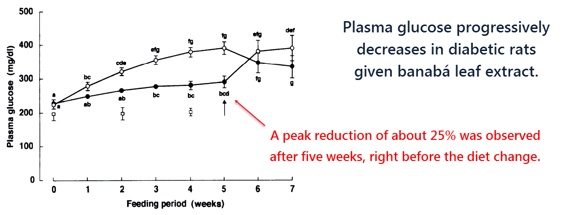 Plasma glucose progressively decreases in diabetic rats given banaba leaf extract. 