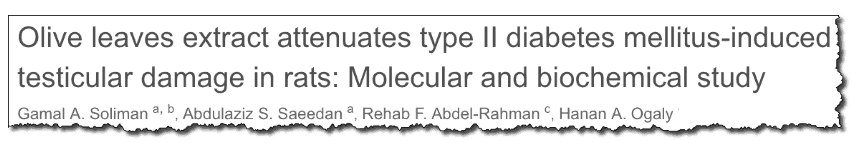 Olive leaves extract attenuates type II diabetes mellitus-induced testicular damage in rats: Molecular and biochemical study