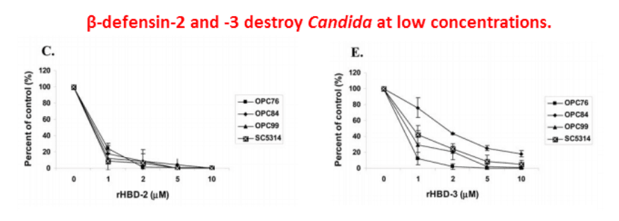 Beta-defensin-2 and -3 destroy Candida at low concentrations.