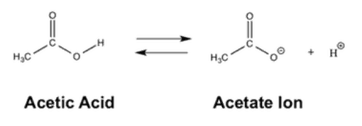 Acetic acid and Acetate Ion