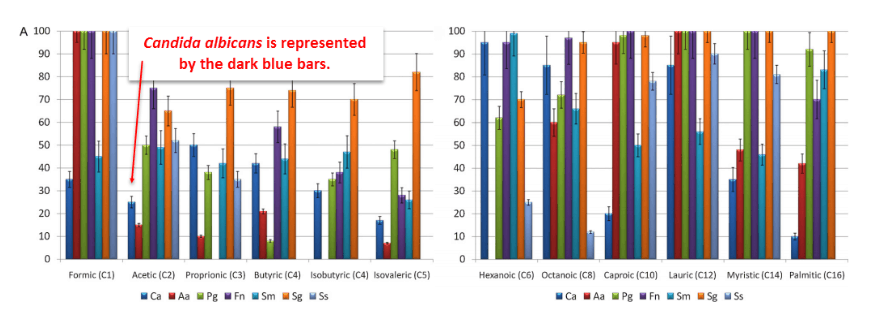 Candida albicans is represented by the dark blue bars