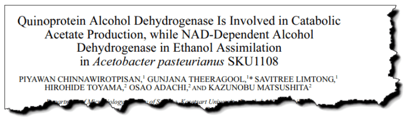 Quinoprotein alcohol dehydrogenase is involved in catabolic acetate production, while NAD-dependent alcohol dehydrogenase in ethanol assimilation in Acetobacter pasteurianus.